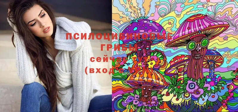 Галлюциногенные грибы Magic Shrooms  дарнет шоп  Подольск 